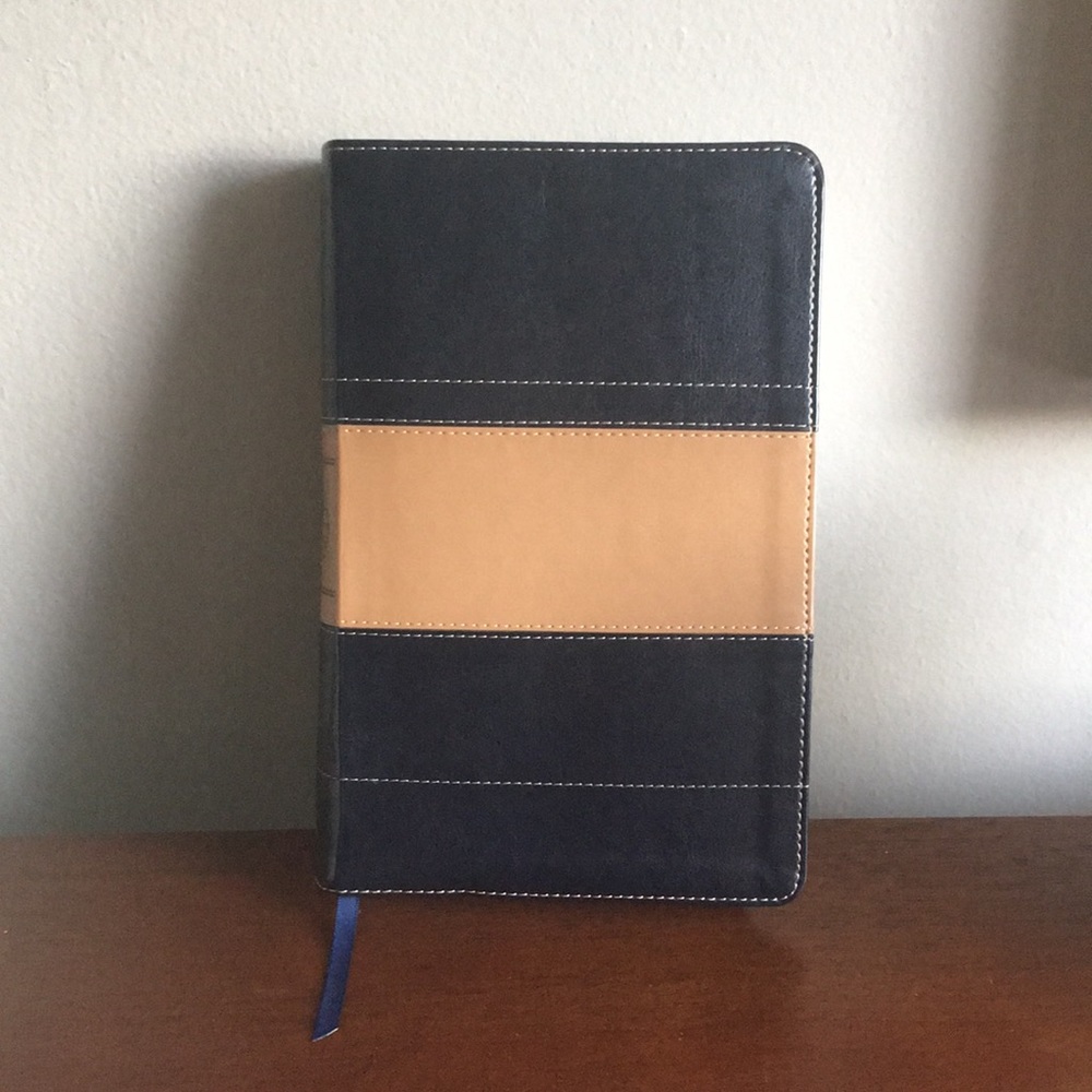 KJV Study Bible